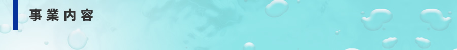 事業内容