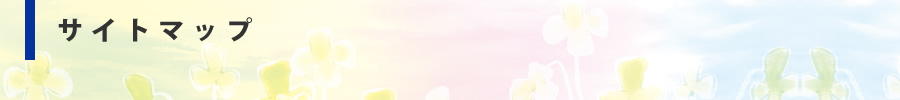 サイトマップ